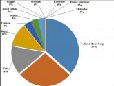 Motorcycle Sales & Analysis